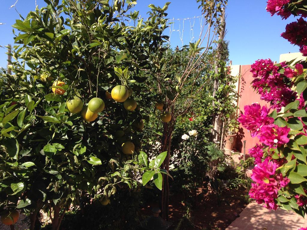 Villa Sunset B&B Awrir Bagian luar foto